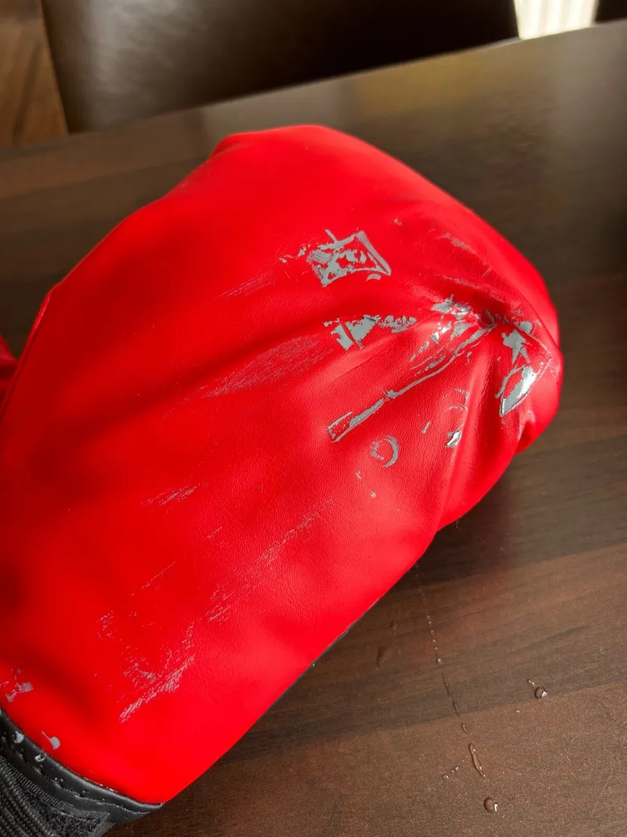 Boxing / Punching Bag - Image 4