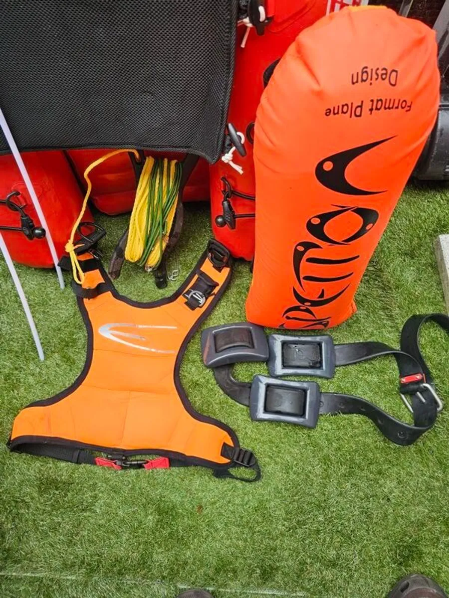 spearfishing - Image 4