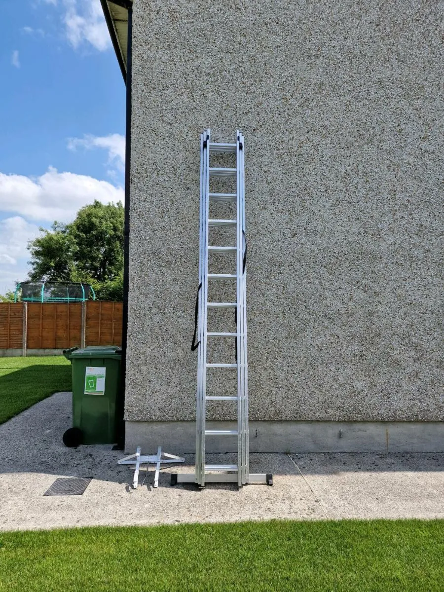 3 x 12 Ladders - Image 1