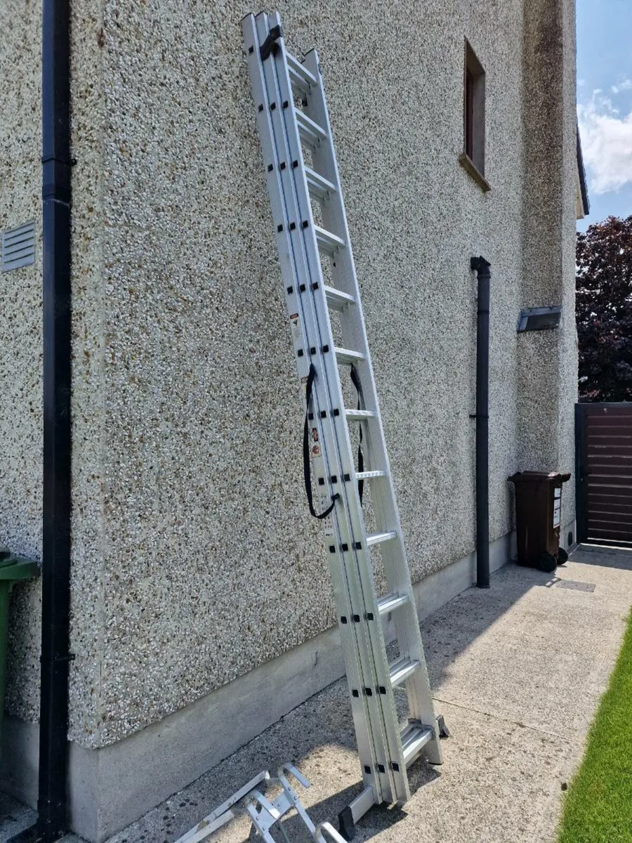 3 x 12 Ladders - Image 2