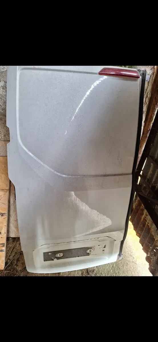 Ford custom  rear door