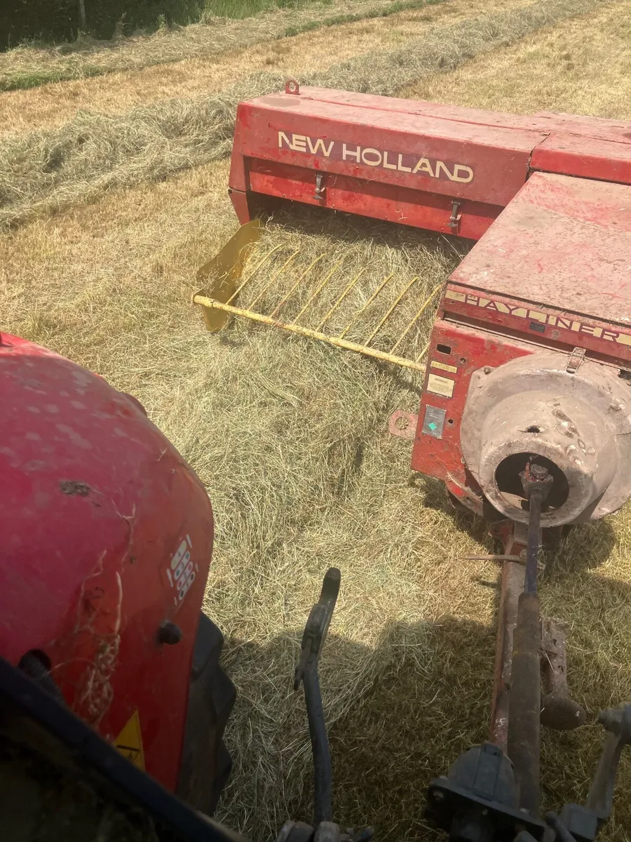 Hay small square bales - Image 2