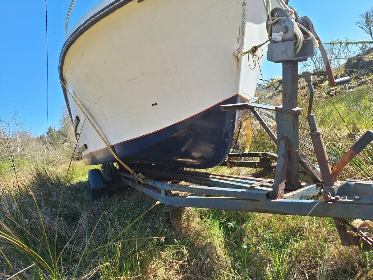 BOAT RIVER LAKE CRUISER - Image 4