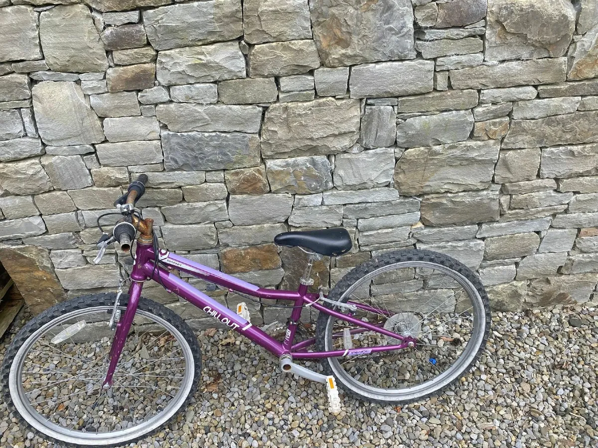 Bike - Image 1