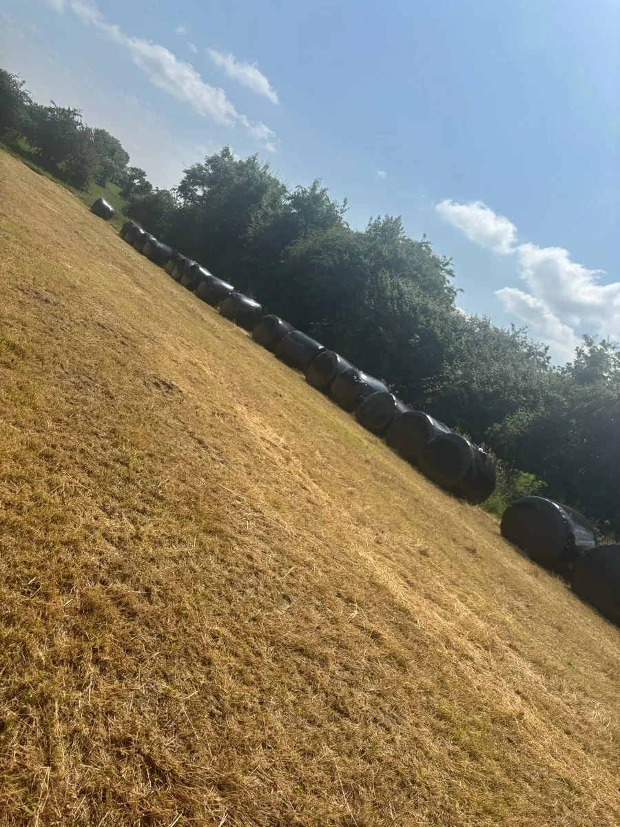 Silage - Image 1