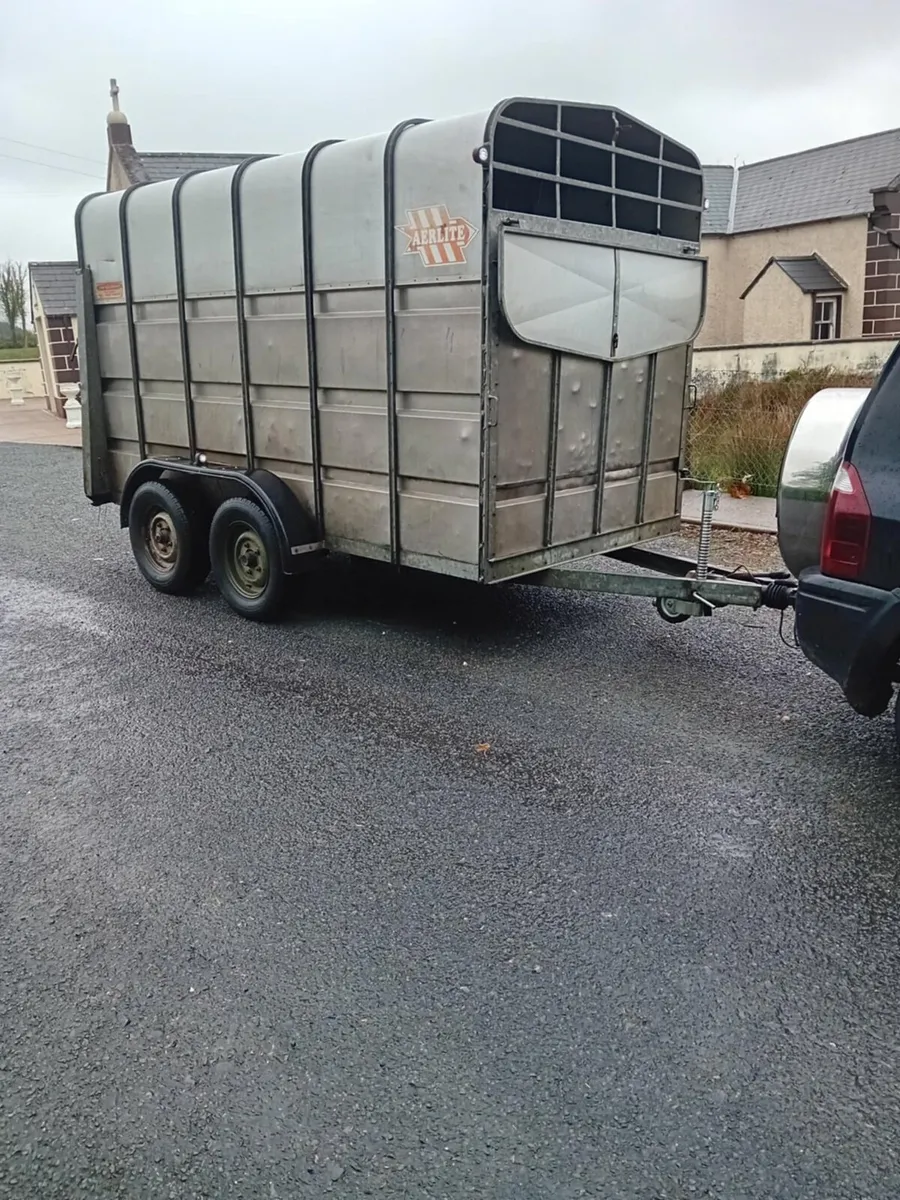 12X6 Trailer - Image 3