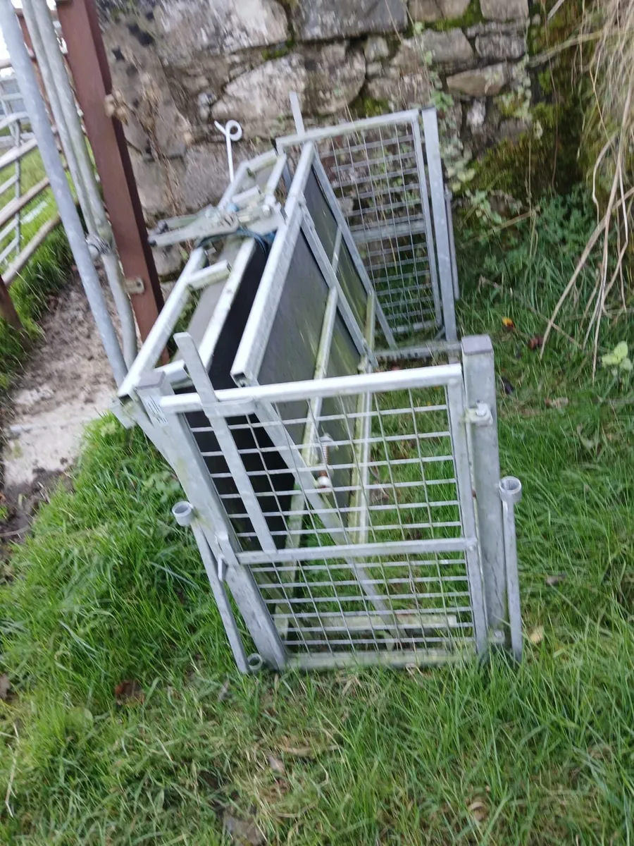 Sheep turnover crate - Image 1