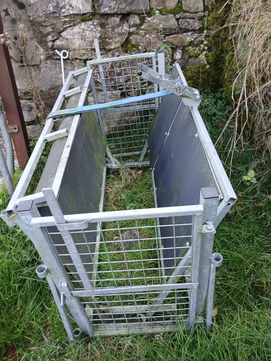 Sheep turnover crate - Image 2
