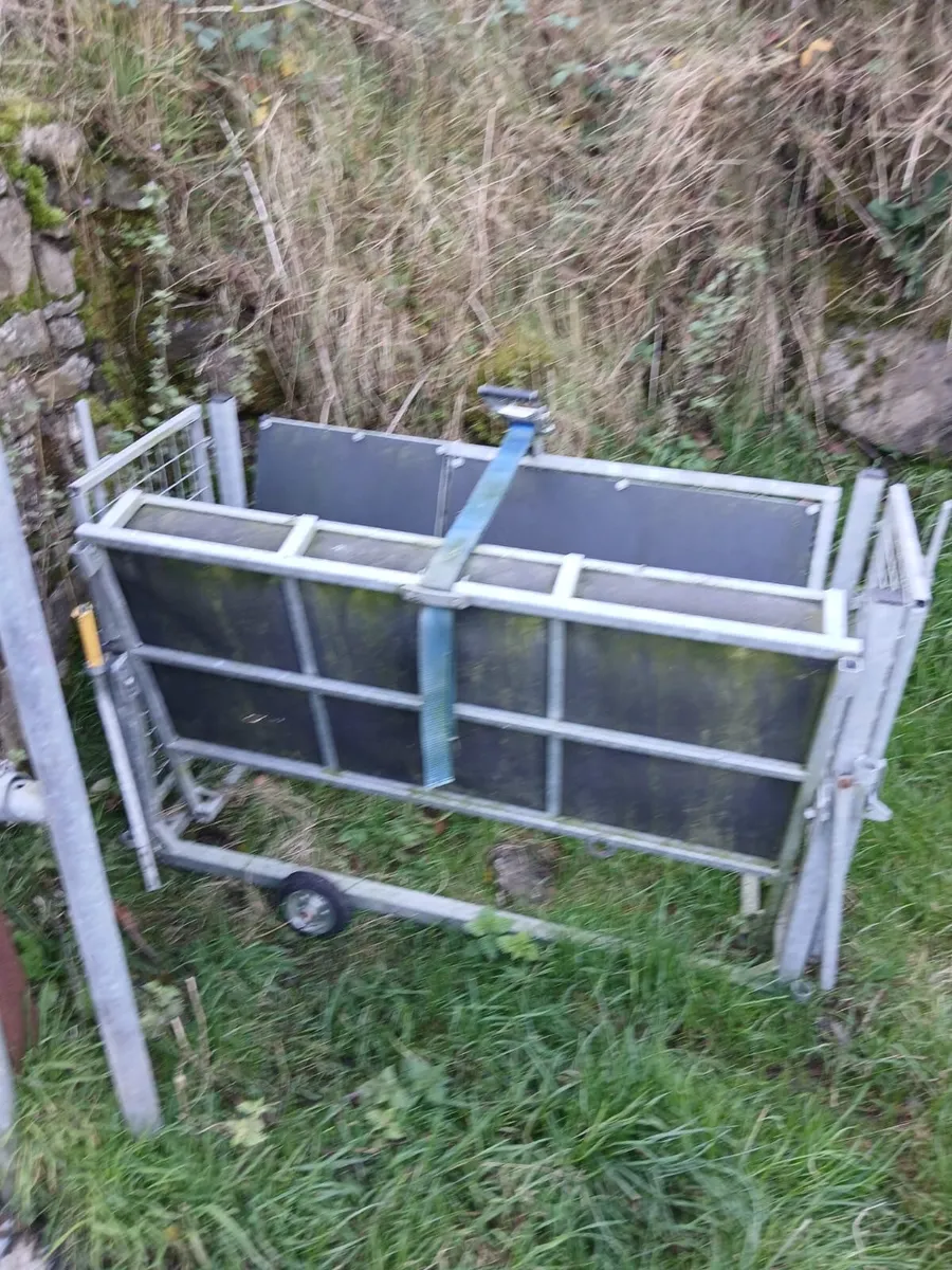Sheep turnover crate - Image 3