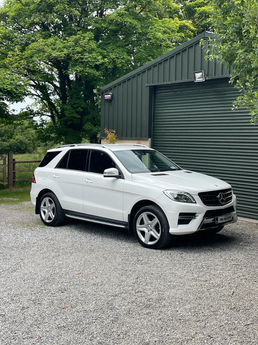Mercedes Benz ML-250 - Image 1