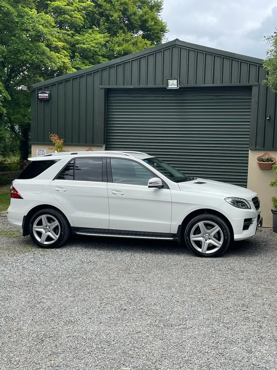Mercedes Benz ML-250 - Image 3
