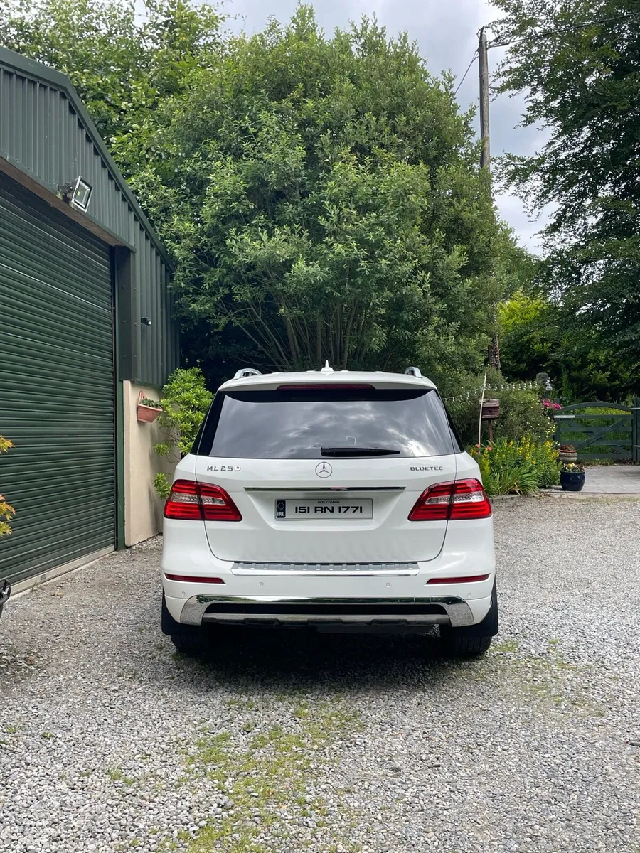 Mercedes Benz ML-250 - Image 4