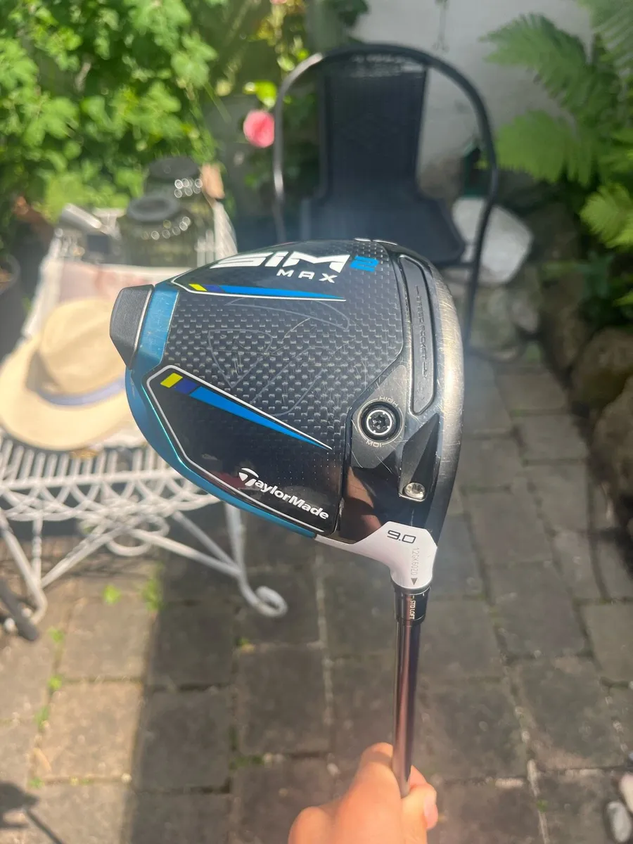 Sim 2 max driver - Image 1