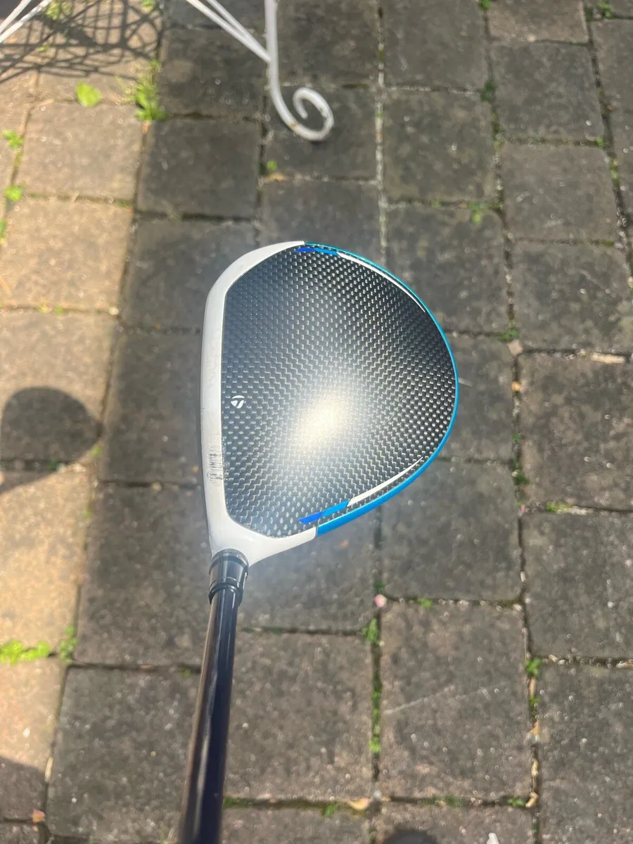 Sim 2 max driver - Image 2