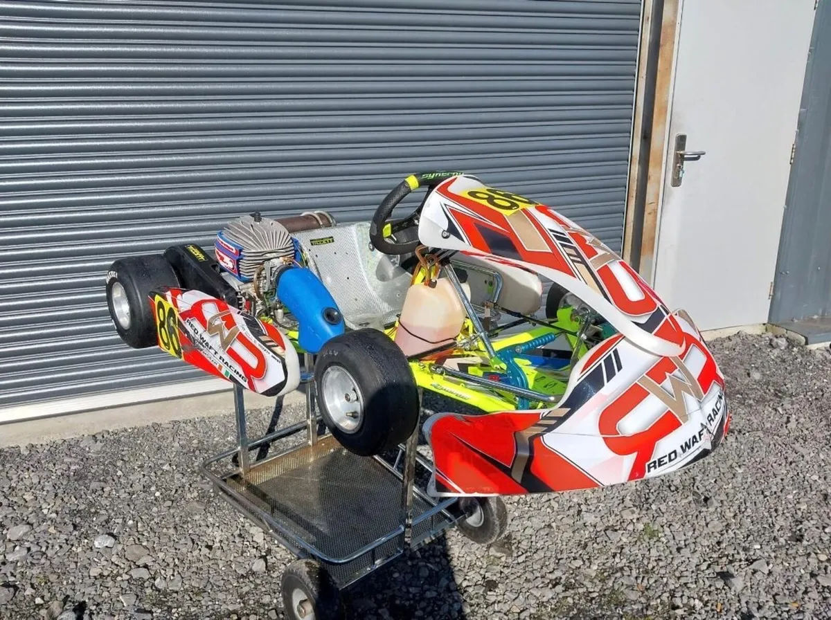 Synergy cadet kart - Image 2