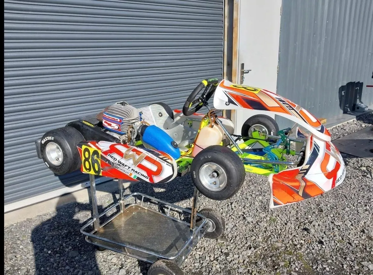 Synergy cadet kart - Image 3