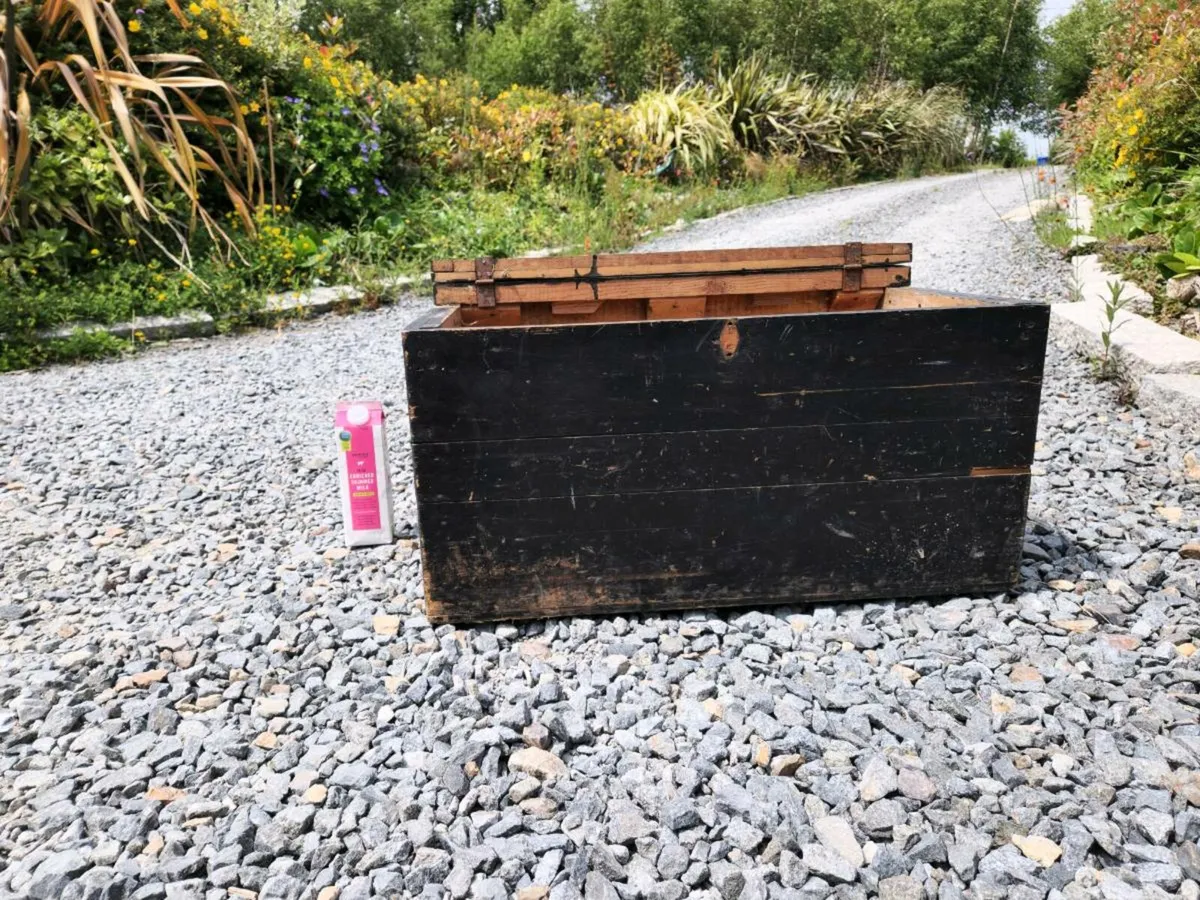 Vintage Whiskey Storage Wooden Chest -  Guinness - Image 1