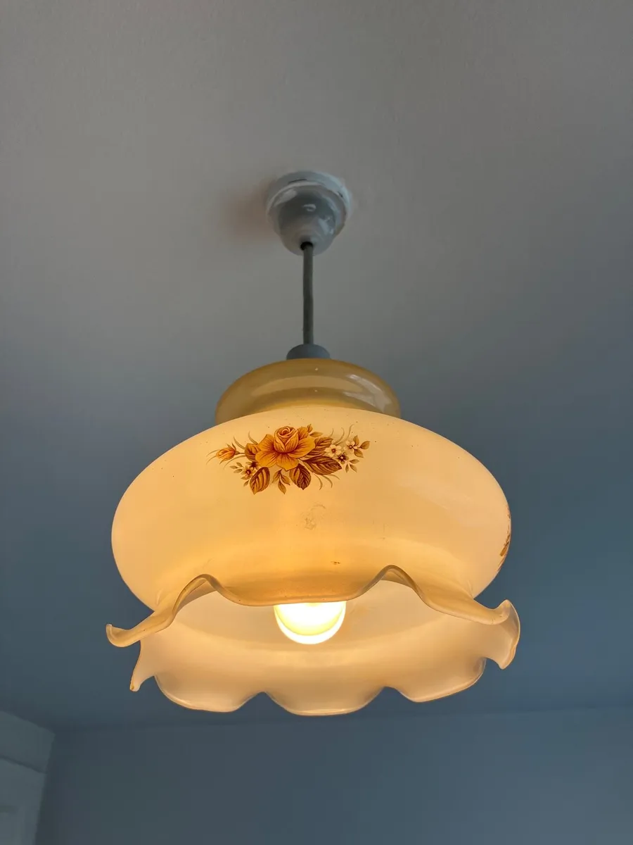 Glass lampshades - Image 1