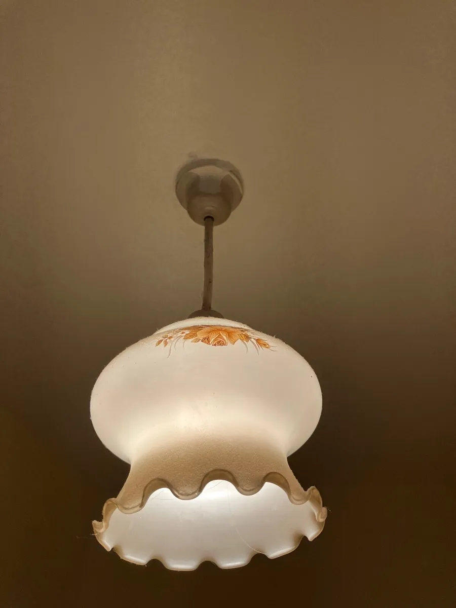 Glass lampshades - Image 2