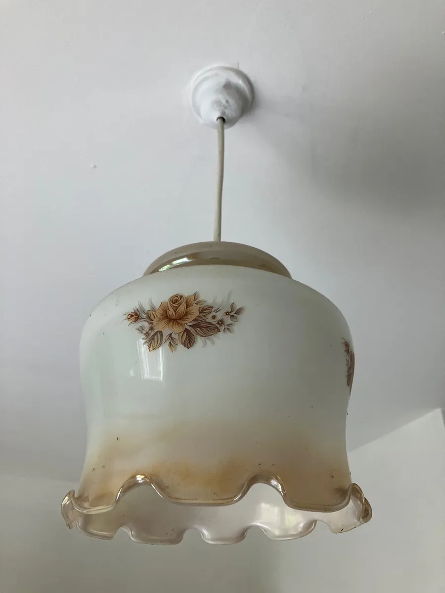 Glass lampshades - Image 3