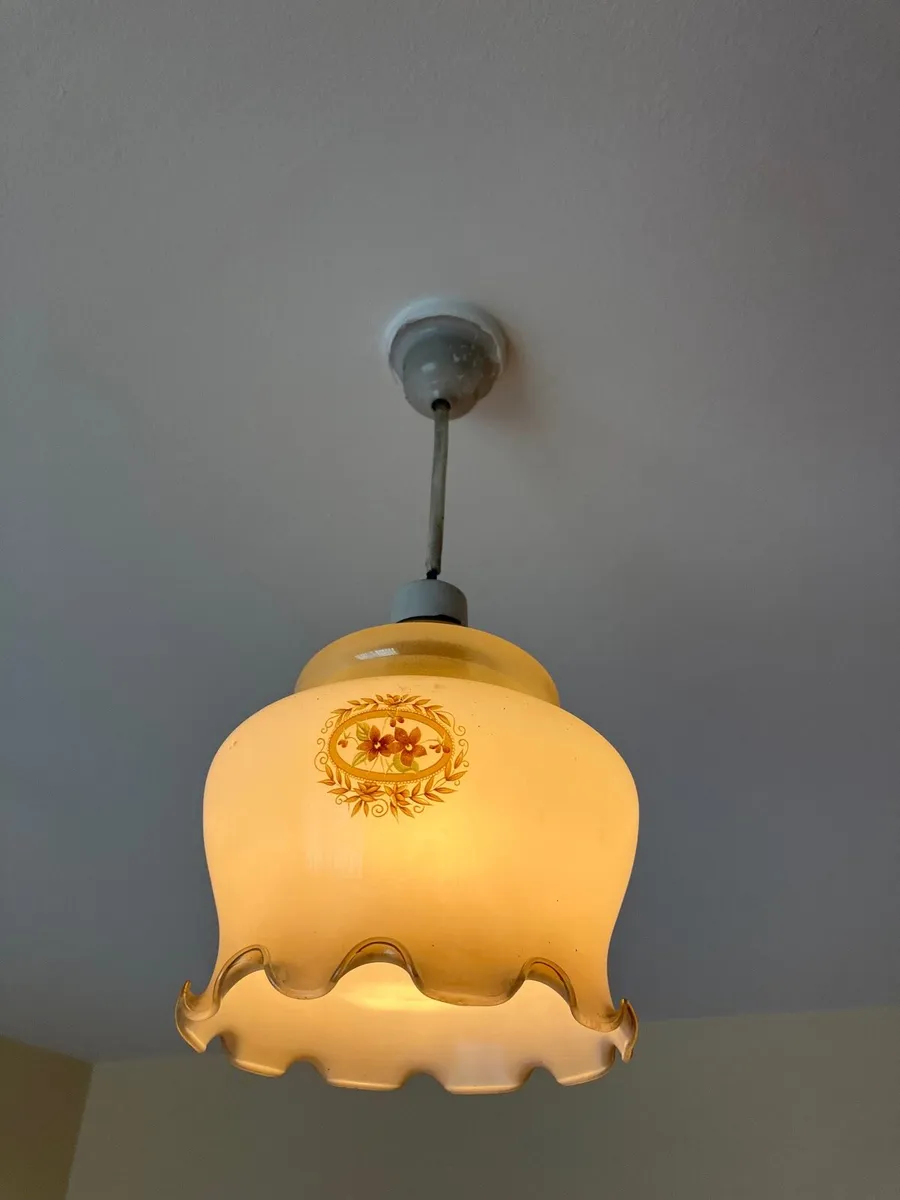 Glass lampshades - Image 4