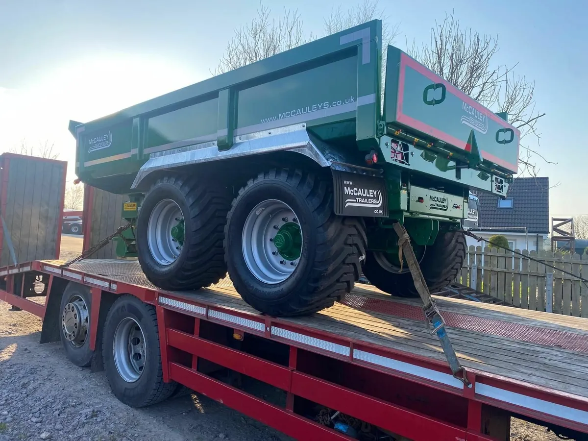 Mccauley trailers - Image 4