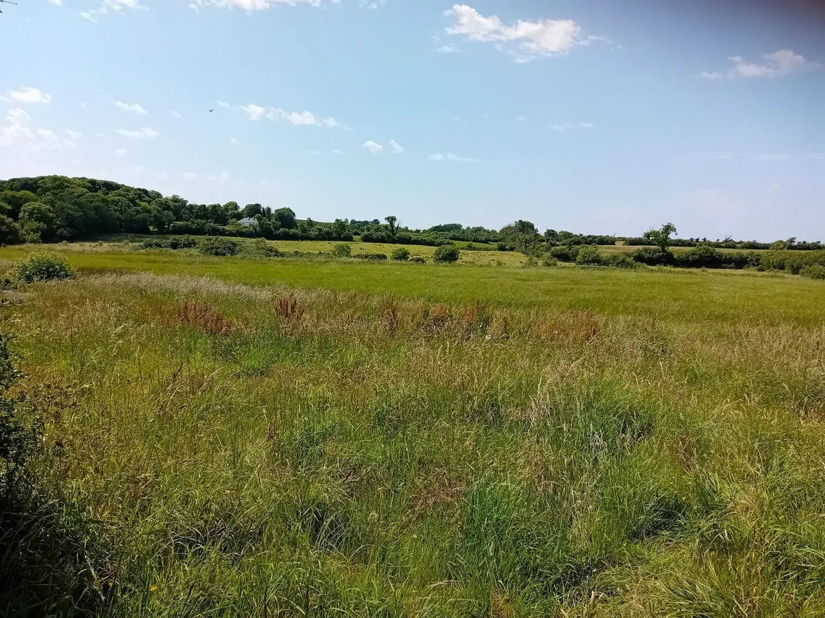 Land for sale - Image 1