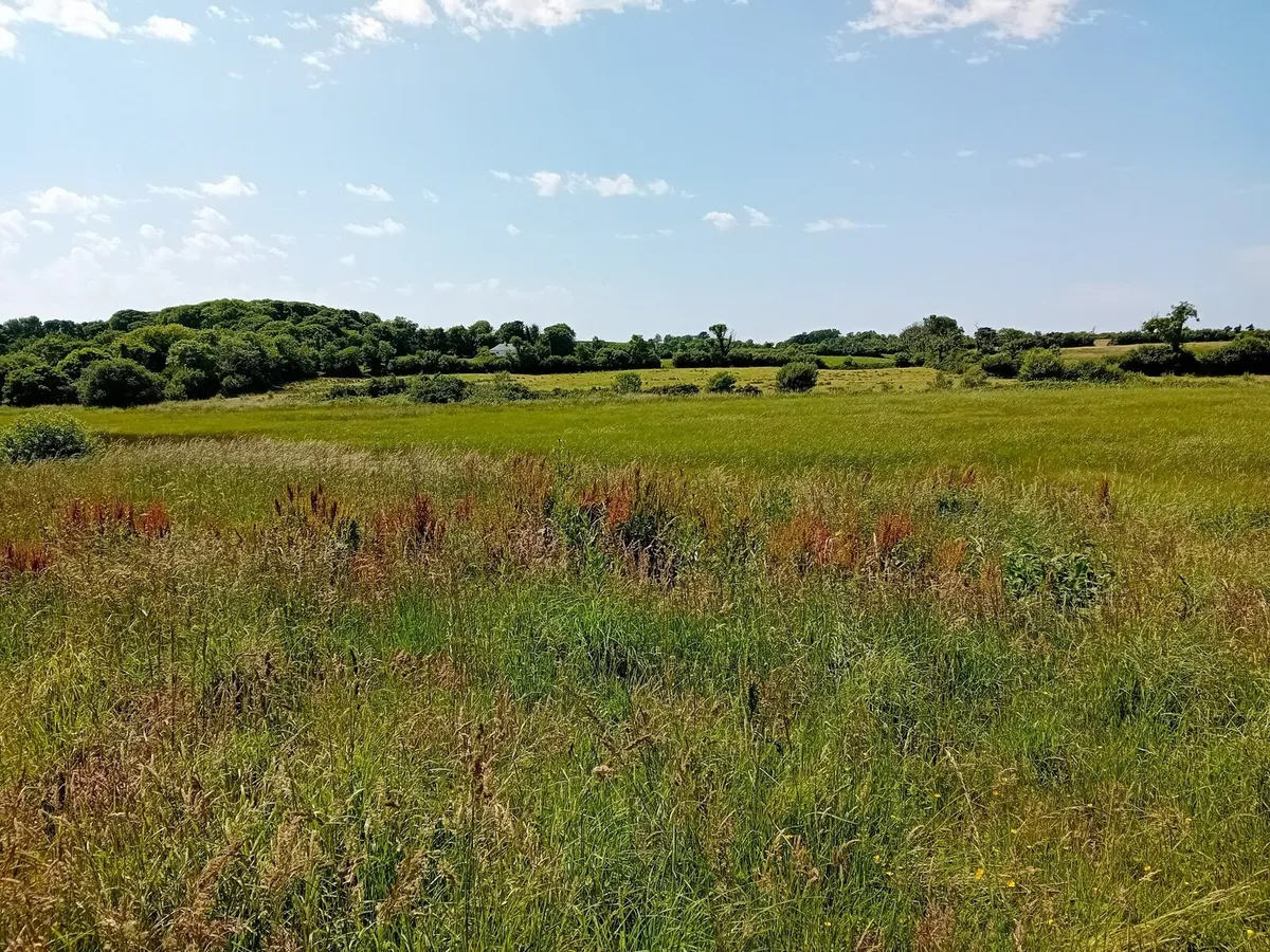 Land for sale - Image 4