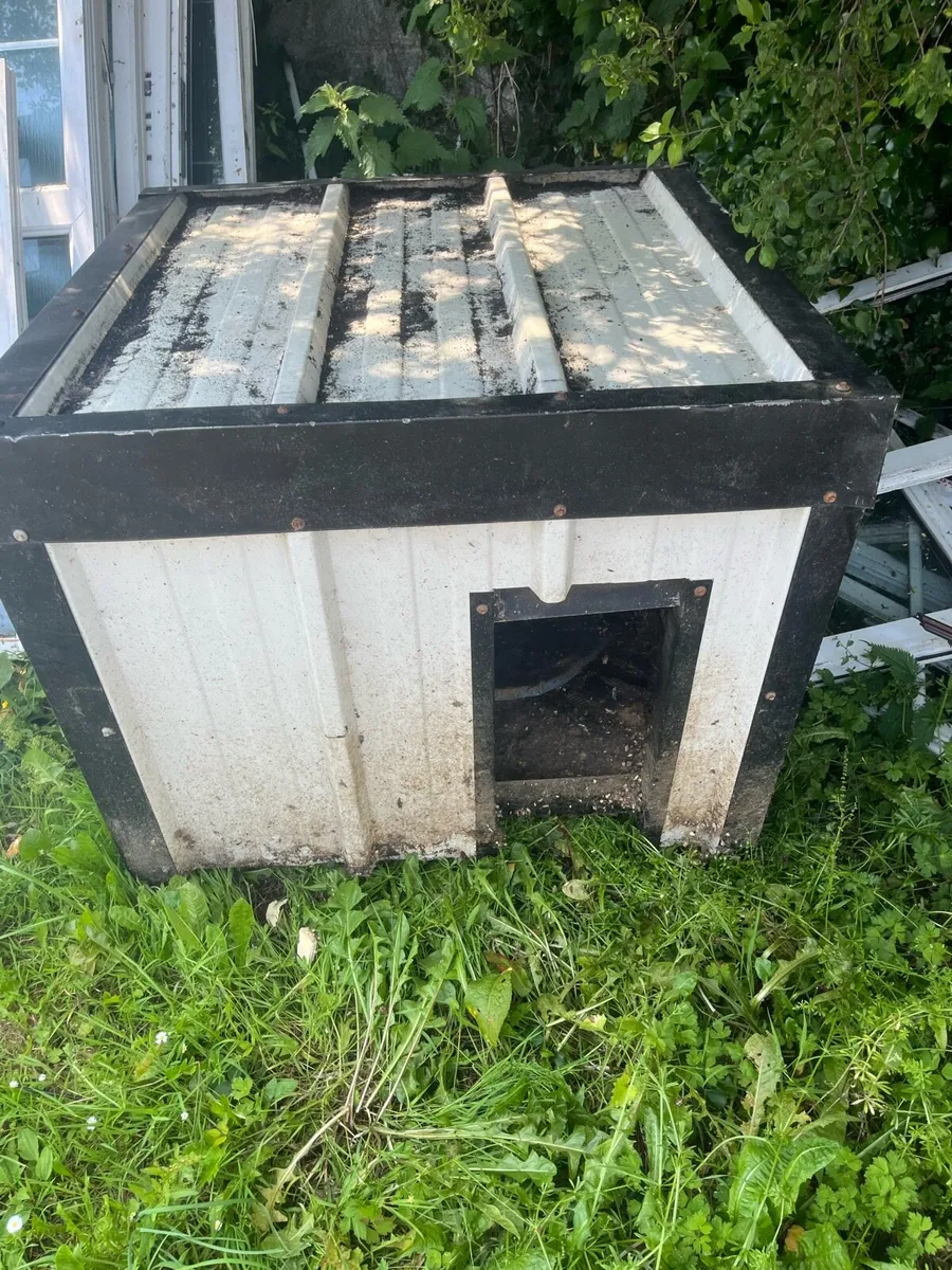 Dog box - Image 1