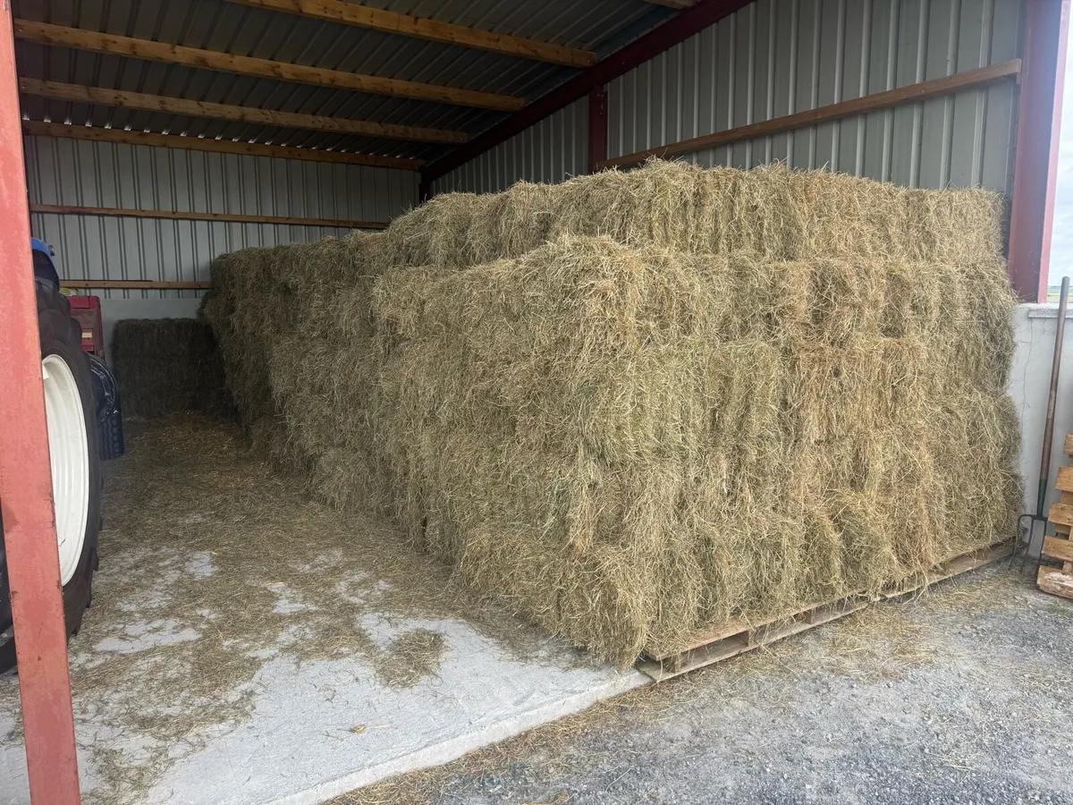 Square Bales Hay 4.50 each