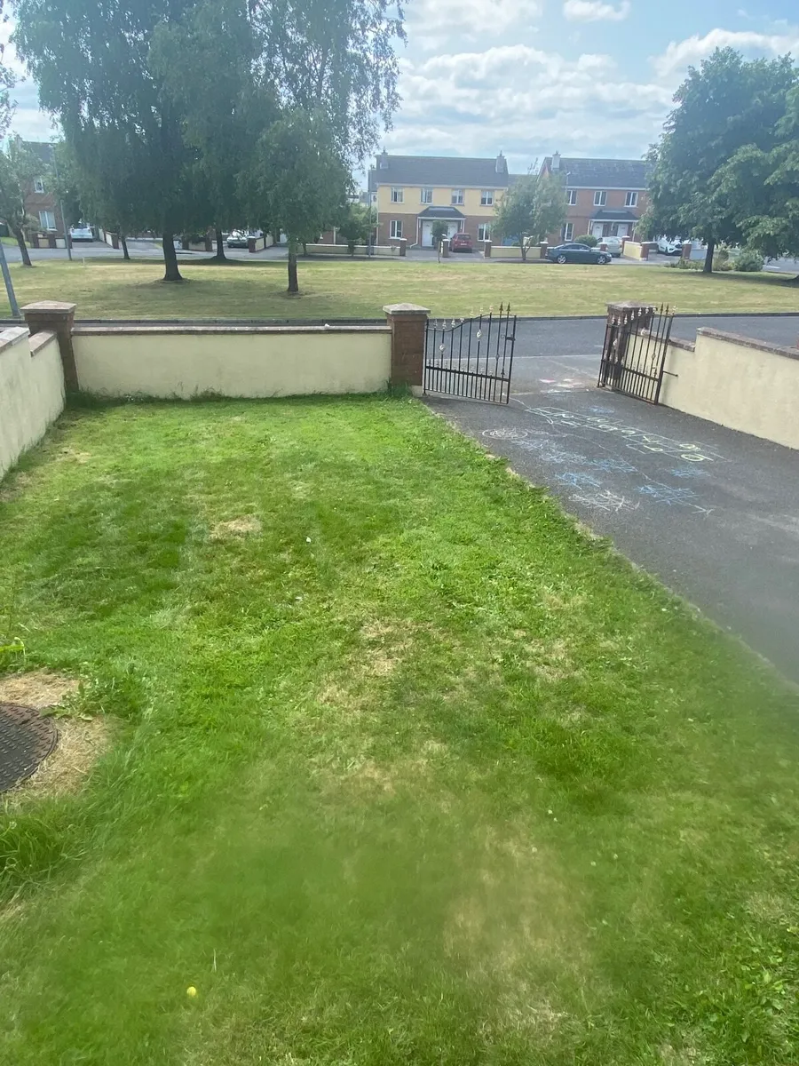 Anyone wants there grass cut in Longford inbox me