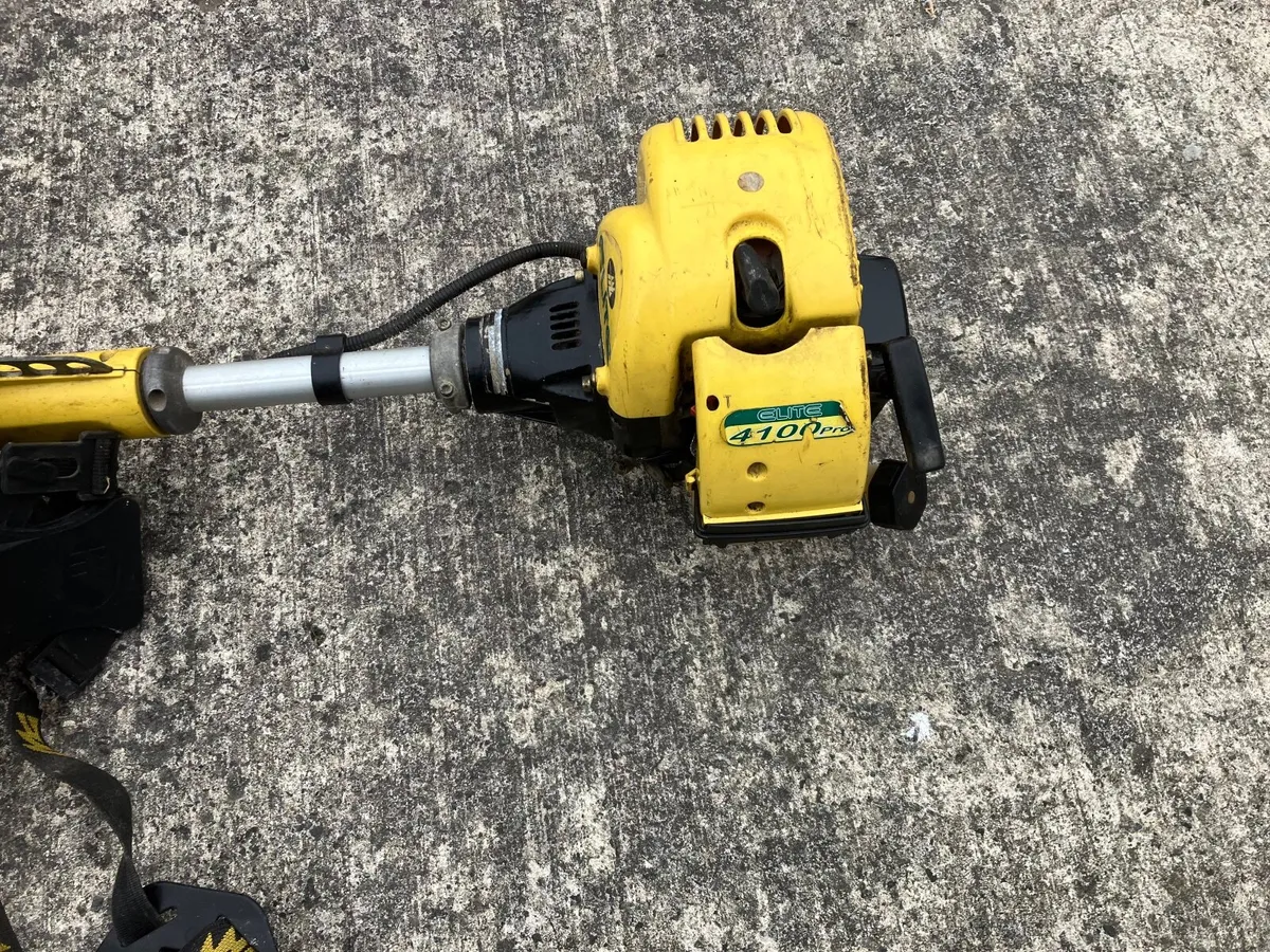 Strimmer - Image 1