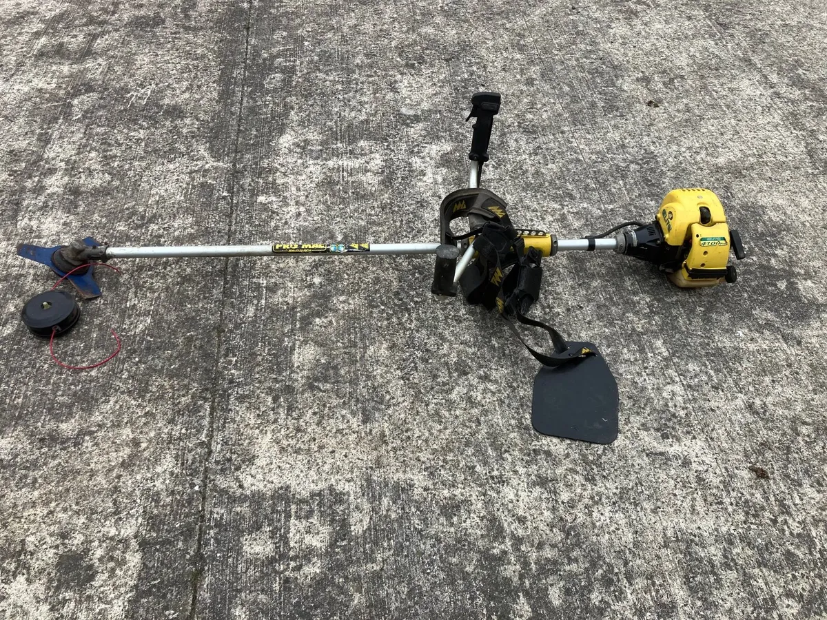 Strimmer - Image 2