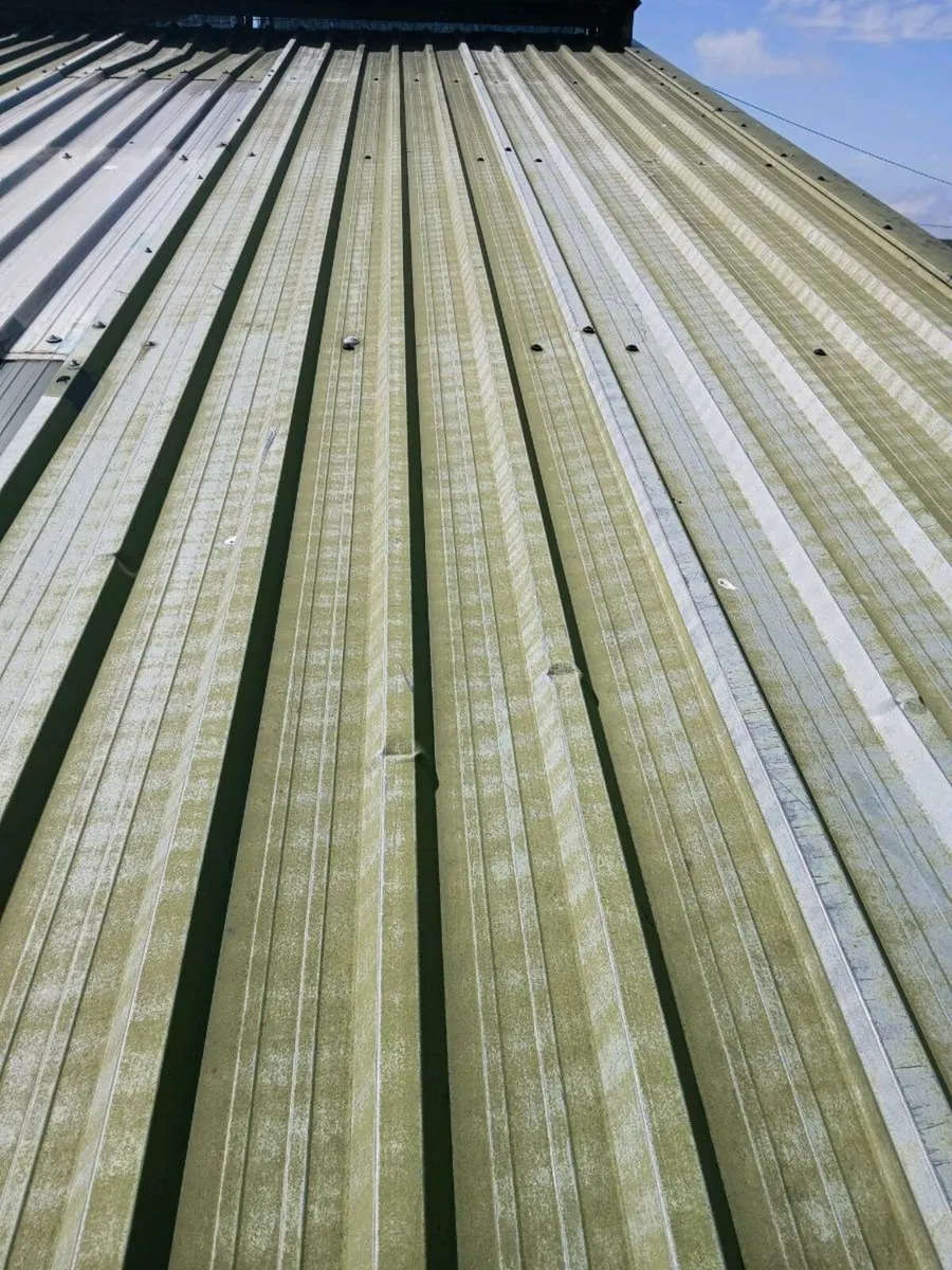 Roof shetting - Image 1