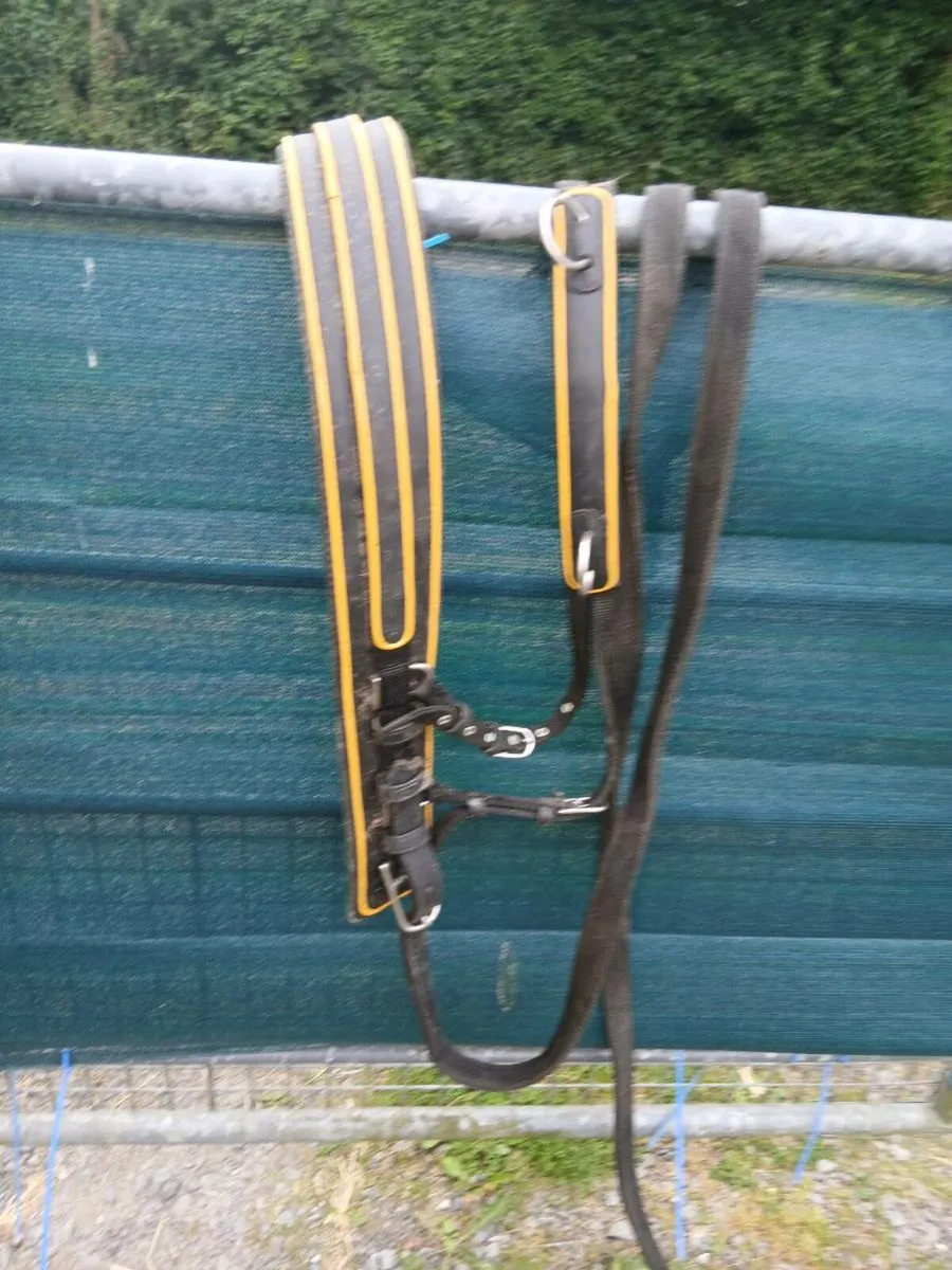 Harness - Image 2