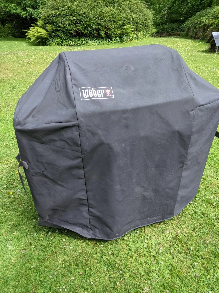 Weber Gas Barbecue - Image 4