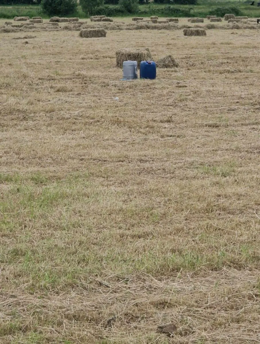 Well saved square bales