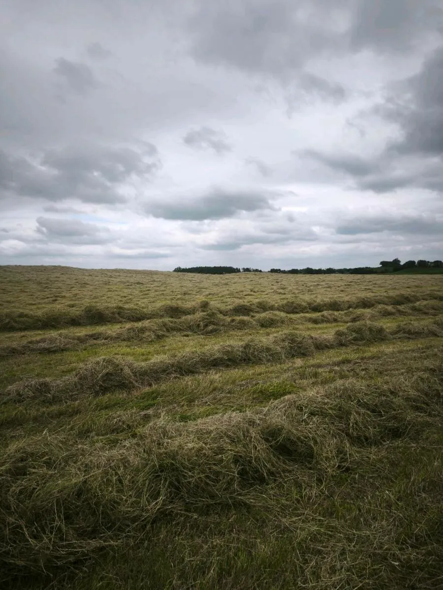 Small square and round bales Hay