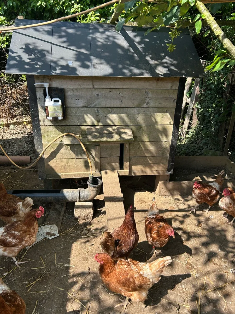 chicken coop - Image 1