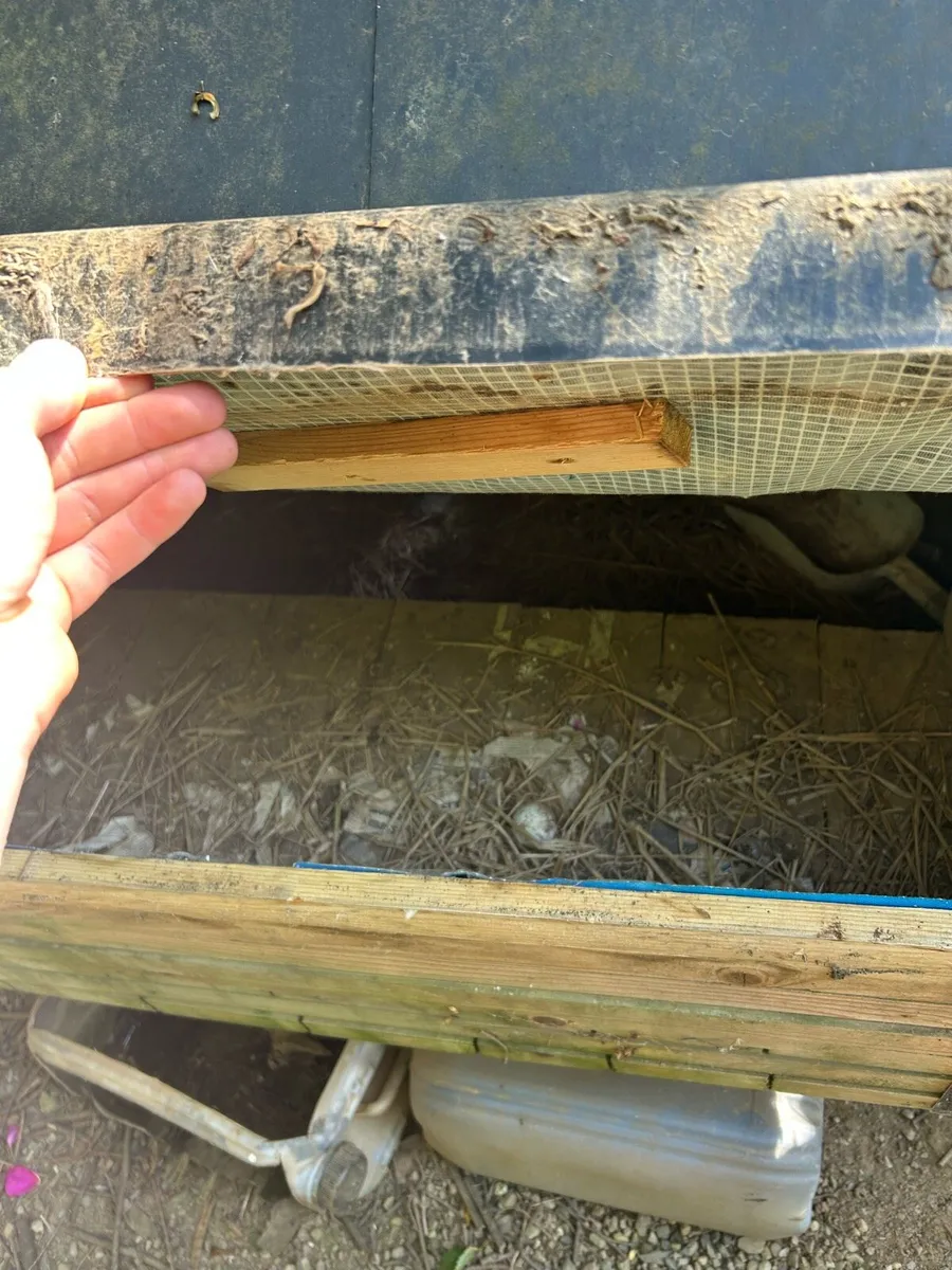 chicken coop - Image 3