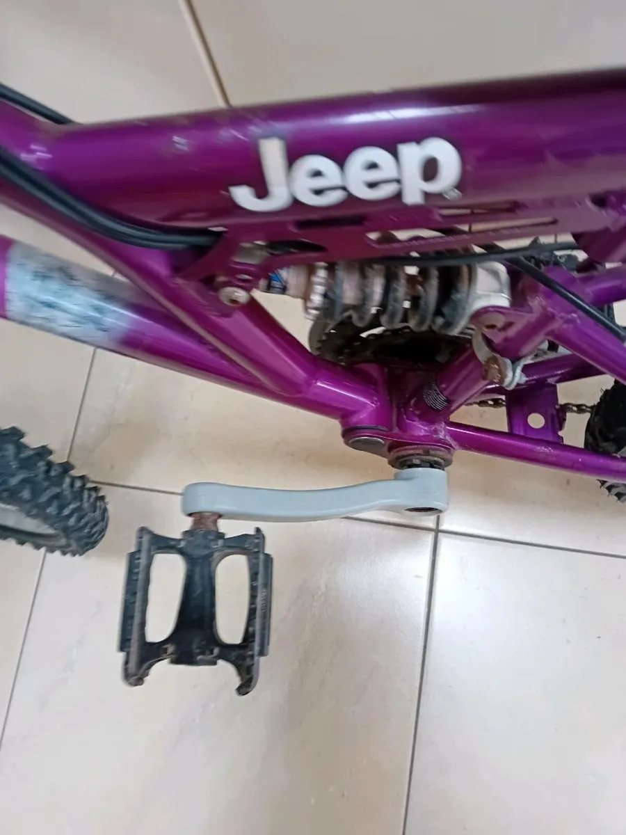 GIRLS BIKE  20 INCH WHEELS - Image 1