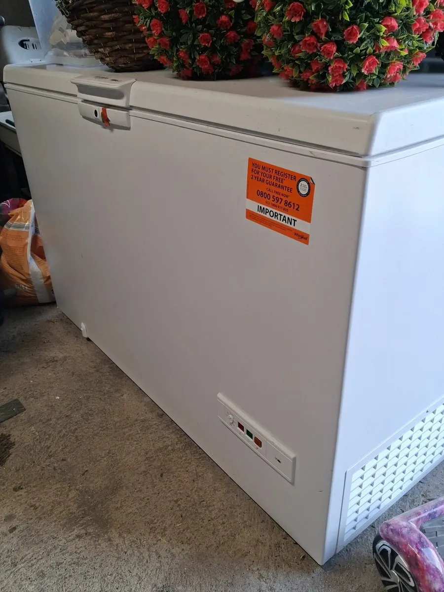 Freezers - Image 1