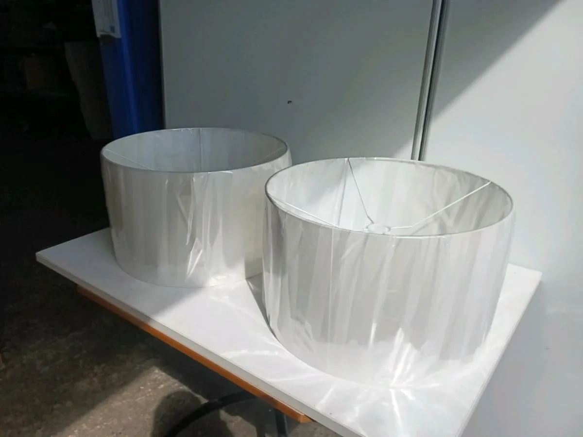 Chelsom Pair of Shades - Image 3