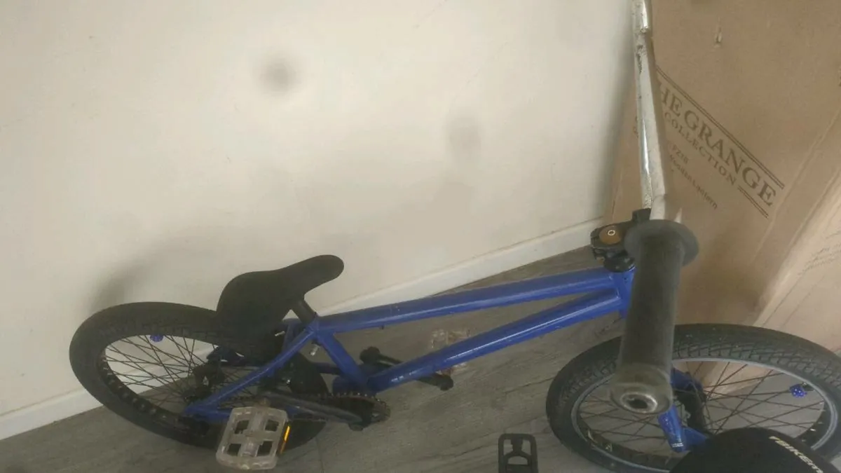 Pro bmx