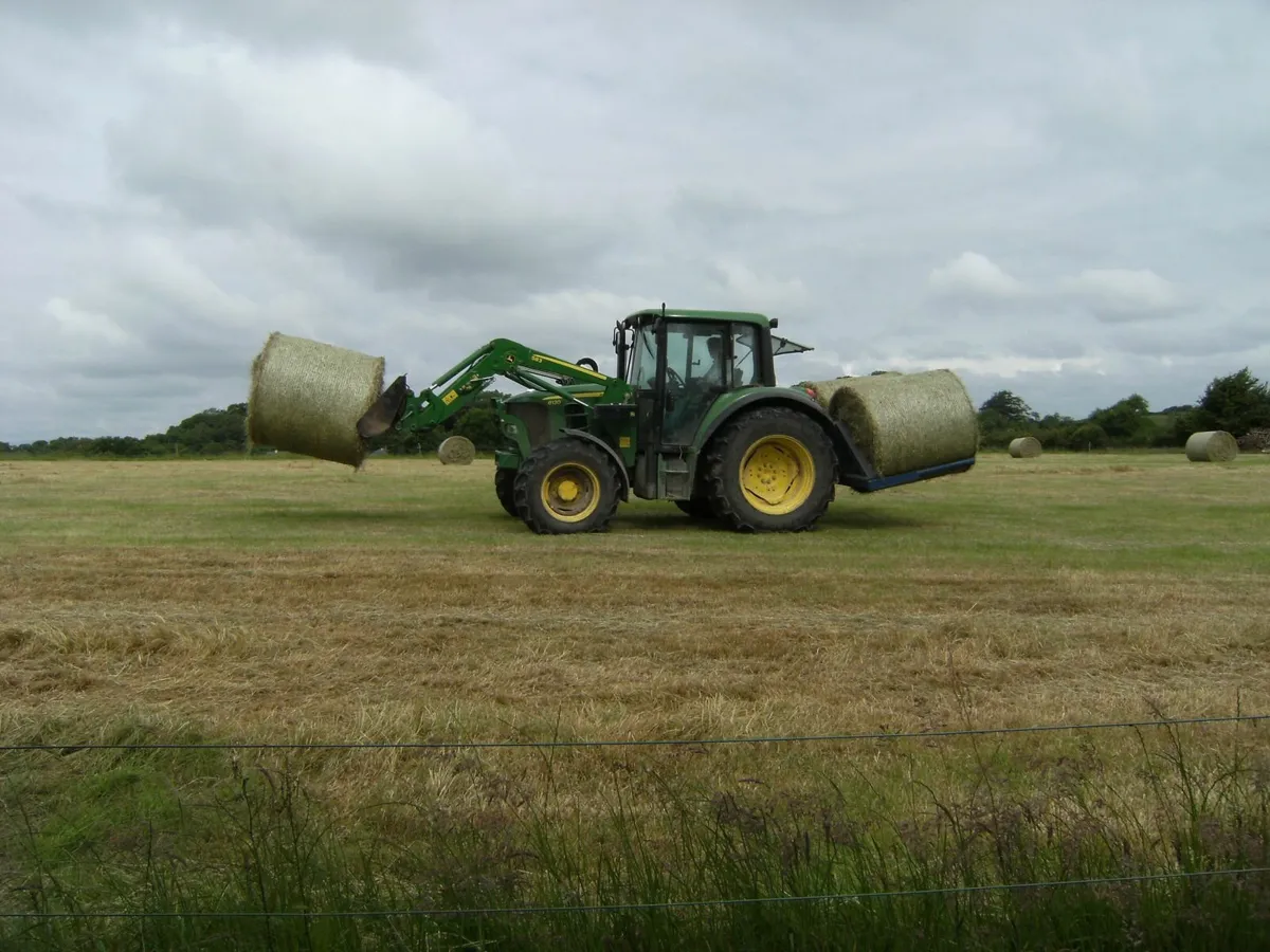 Hay