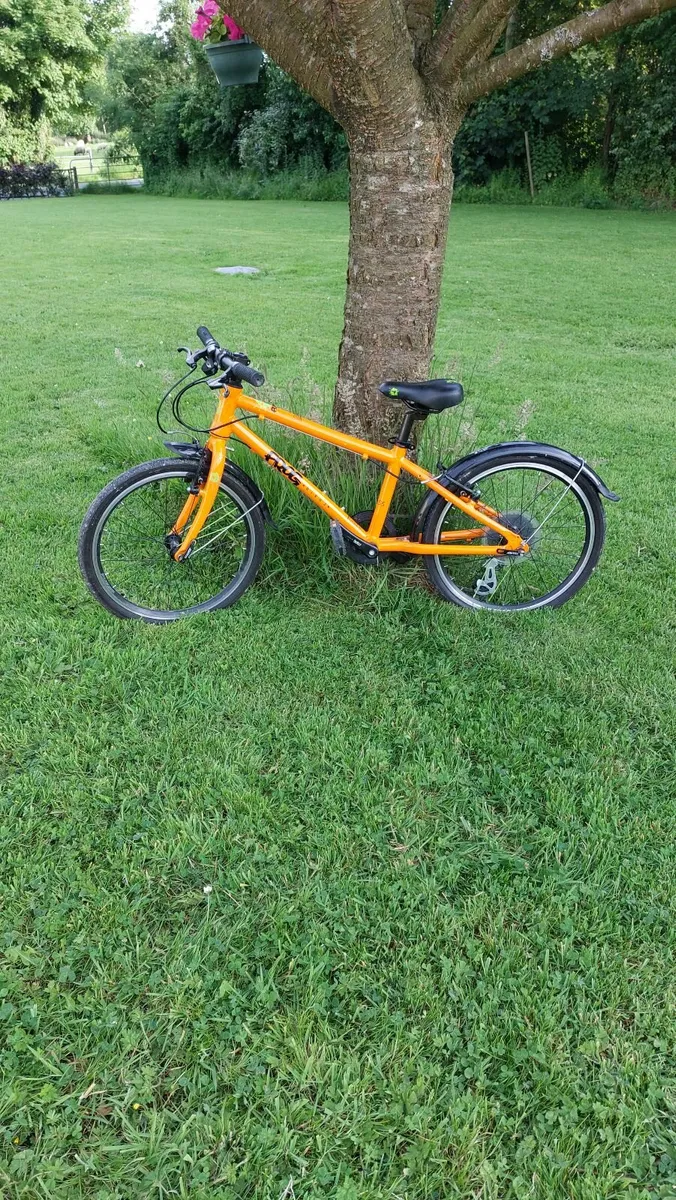 Frog55 Orange