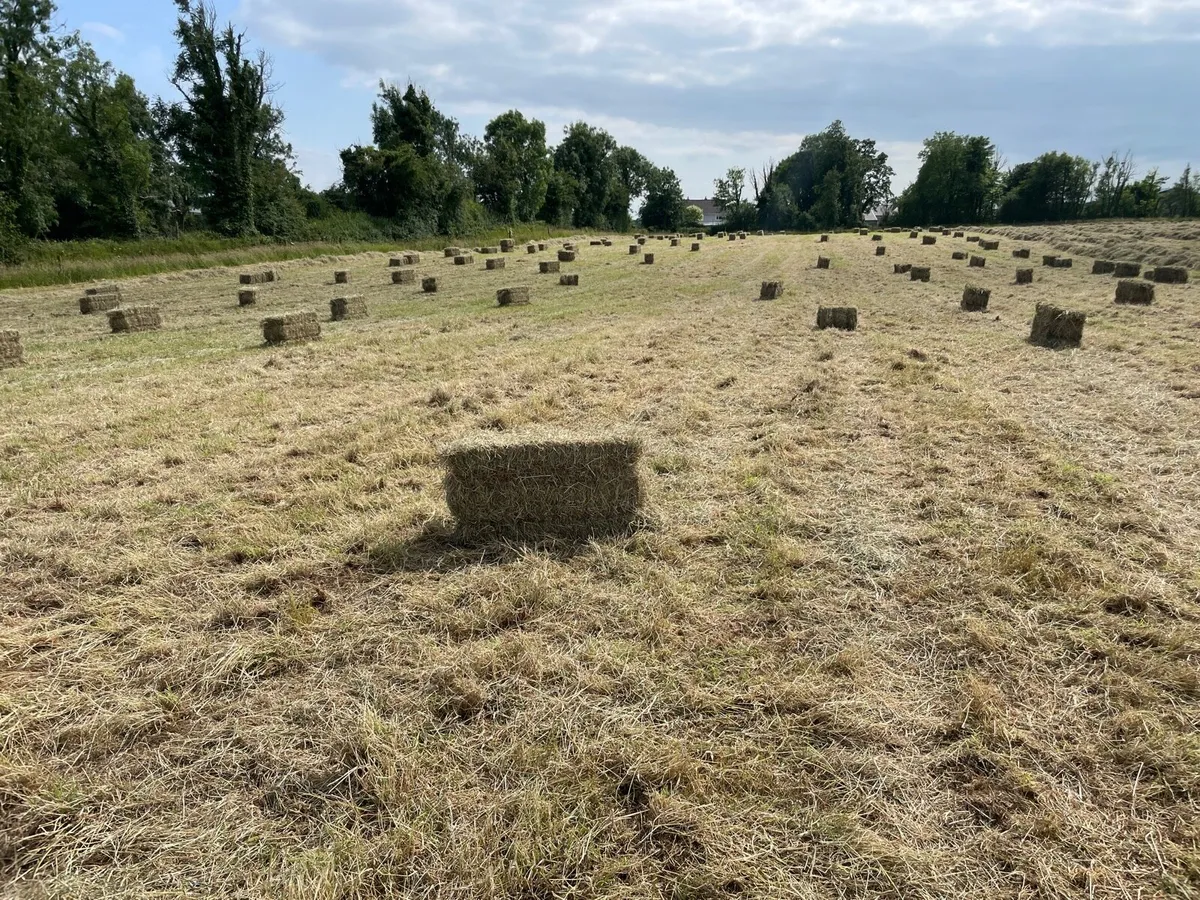 Square bales of hay North Galway (green) - Image 1