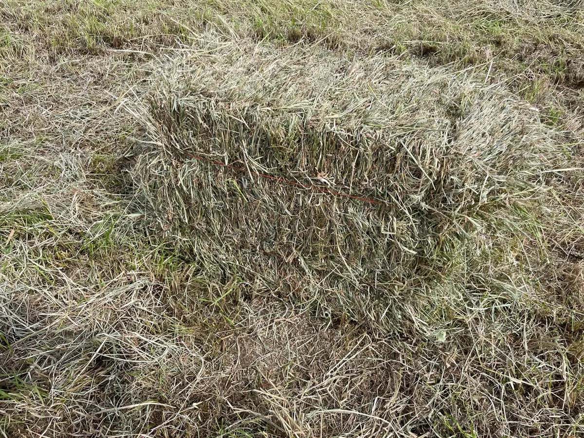 Square bales of hay North Galway (green) - Image 4