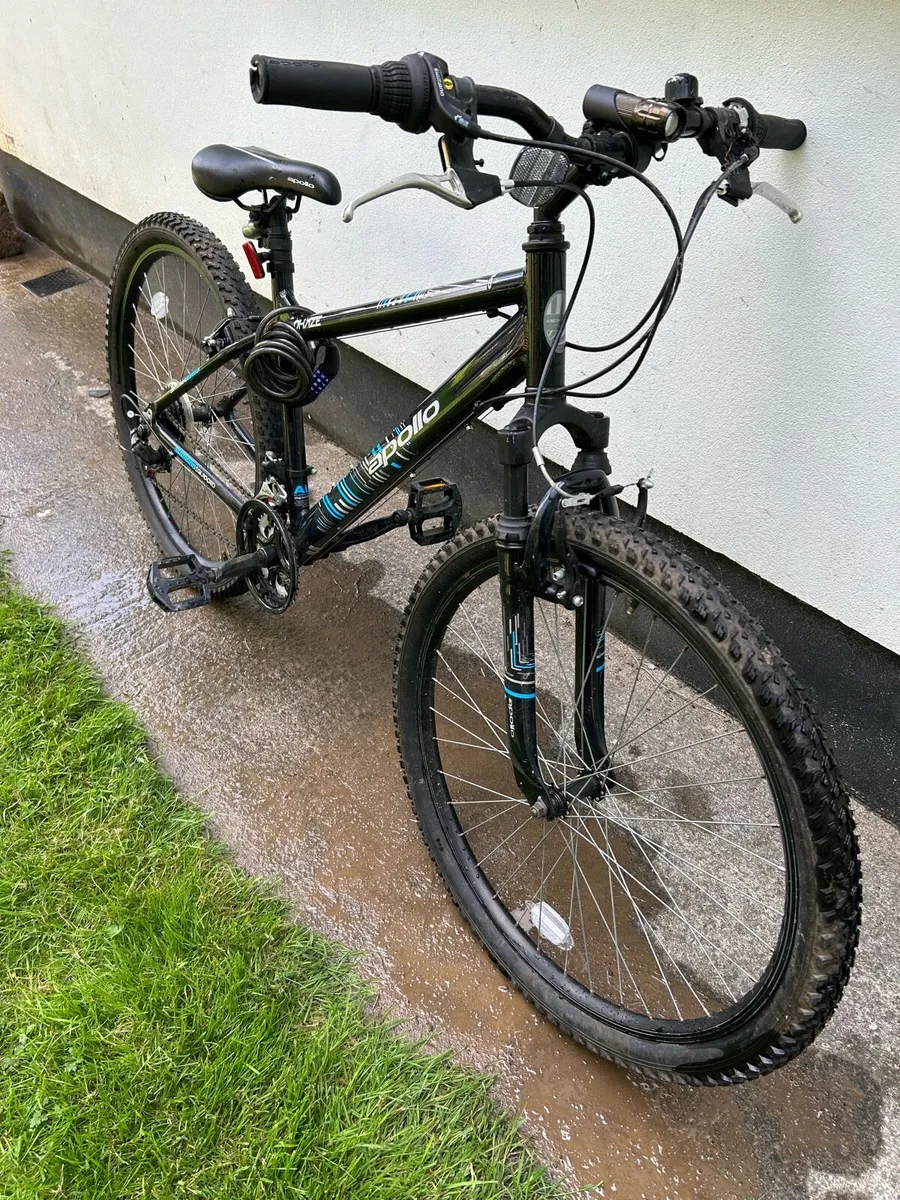 Adult bike - Image 2