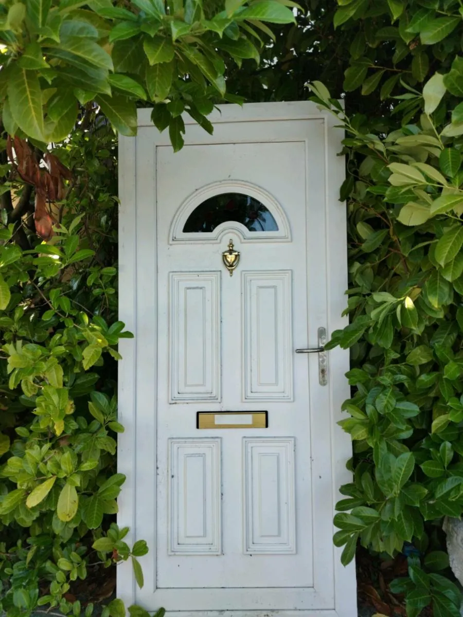 PVC DOOR